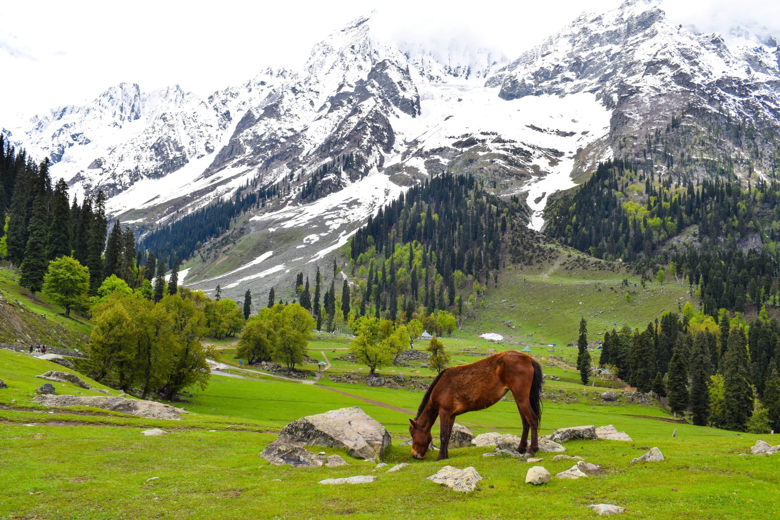 Kashmir Valley, Jammu and Kashmir